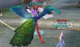 孔雀坐骑新爆料视频大全,视频大全揭秘神秘坐骑风采